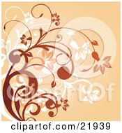 Poster, Art Print Of White Orange And Brown Curly Plants With Flowers Over An Orange Background