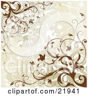 Poster, Art Print Of Beige Background With Flowering Brown And White Vines