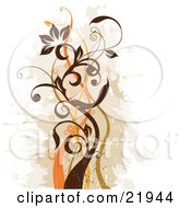 Poster, Art Print Of Green And Brown Vine Plant With Scrolls And Orange Blossoms Over A Faded Brown And White Background