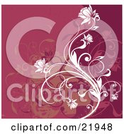 Clipart Picture Illustration Of A Red And Pink Background With White Flowering Vines