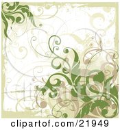 Poster, Art Print Of Green And Tan Vines Over A Grunge White Background