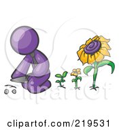 Poster, Art Print Of Purple Man Kneeling By Growing Sunflowers To Plant Seeds In A Dirt Hole In A Garden