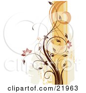 Poster, Art Print Of Vine Plant With Orange Blooming Flowers Scrolling Over An Orange And White Background