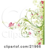 Poster, Art Print Of Green Plant Blooming Pink Flowers Over A White Background