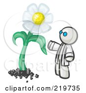 Poster, Art Print Of White Man Scientist Admiring A Giant White Daisy Flower