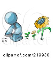 Poster, Art Print Of Denim Blue Man Kneeling By Growing Sunflowers To Plant Seeds In A Dirt Hole In A Garden