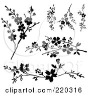 Poster, Art Print Of Digital Collage Of Blossom Branches In Black And White