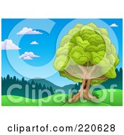 Poster, Art Print Of Nature Landscape With A Mature Lush Tree With A Hole In The Trunk