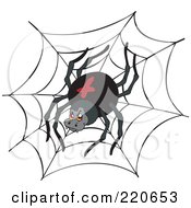 Black Widow Spider On A Black Web
