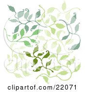 Clipart Picture Of A Pattern Of Green Leafy Branches Over A White Background