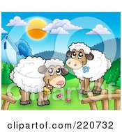 Poster, Art Print Of Cute Sheep In A Mountainous Pasture