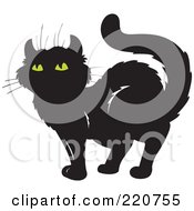Poster, Art Print Of Standing Black Cat With Yellow Eyes