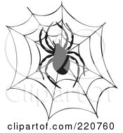 Poster, Art Print Of Black Spider And Web Silhouette