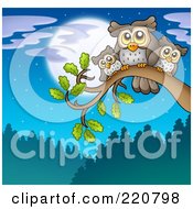 Royalty Free RF Clipart Illustration Of A Parent And Baby Owls Perched On A Branch Against A Full Moon