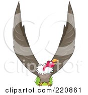 Vulture With His Wings In The Shape Of A V