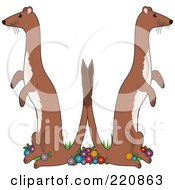 Royalty Free RF Clipart Illustration Of A Pair Of Weasels Holding Their Tails Together And Forming A W