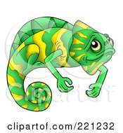 Poster, Art Print Of Cute Green And Yellow Chameleon Lizard