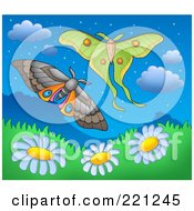Royalty Free RF Clipart Illustration Of Two Moths Over Daisy Hills At Dusk by visekart