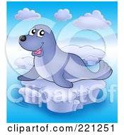 Happy Cute Seal On Ice - 2