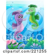 Poster, Art Print Of Pair Of Seahorses Swimming Above A Reef