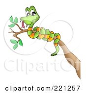 Royalty Free RF Clipart Illustration Of A Green Snake Coiled Around A Branch