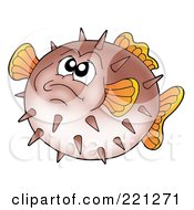 Poster, Art Print Of Grumpy Brown Puffer Fish