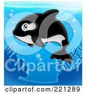 Cute Orca Whale Swimming In The Blue Sea