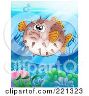 Grumpy Puffer Fish Above A Coral Reef