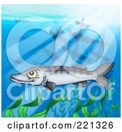 Poster, Art Print Of Mean Barracuda Fish By A Sunken Ship