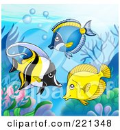 Poster, Art Print Of Three Marine Fish By A Reef - 2