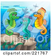 Poster, Art Print Of Trio Of Seahorses Swimming Above A Reef