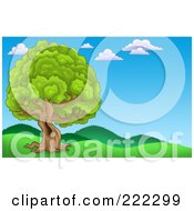 Poster, Art Print Of Lush Tree With A Hole In The Trunk In A Hilly Landscape
