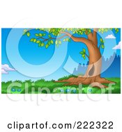 Poster, Art Print Of Curving Tree Trunk In A Grassy Landscape