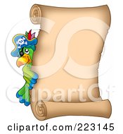 Poster, Art Print Of Pirate Parrot Looking Around A Blank Vertical Parchment Page