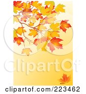 Poster, Art Print Of Background Of Autumn Leaves On A Branch Over Orange