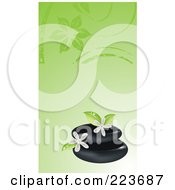 Business Card Design Of Spa Stones And Frangipani Flowers On Green