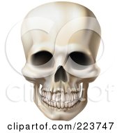 Poster, Art Print Of Royaltycreepy Human Skull With A Clenched Jaw
