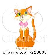 Poster, Art Print Of Cute Adult Marmalade Cat Wearing A Pink Bow