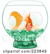 Princess Goldfish In A Bowl With Green Glass Pebbles