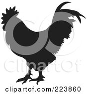 Poster, Art Print Of Black Silhouetted Cockerel - 13