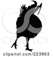 Poster, Art Print Of Black Silhouetted Cockerel - 14