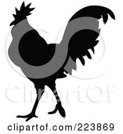Poster, Art Print Of Black Silhouetted Cockerel - 15