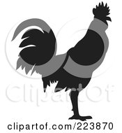 Poster, Art Print Of Black Silhouetted Cockerel - 11