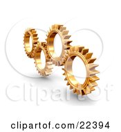 Group Of Four Slender Golden Cogs Spinning And Catching In The Rivets