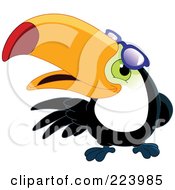 Friendly Toucan Bird Looking Under His Shades