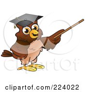 Poster, Art Print Of Brown Owl Wearing A Graduation Cap And Using A Pointer Wand