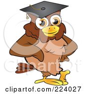 Poster, Art Print Of Brown Owl Wearing A Graduation Cap And Leaning