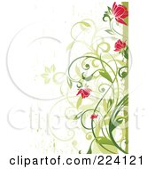 Poster, Art Print Of Pink Flowers And Green Vines With Grunge