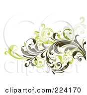 Royalty Free RF Clipart Illustration Of A Leafy Floral Background 1