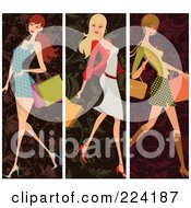 Poster, Art Print Of Digital Collage Of Vertical Shopping Women Borders